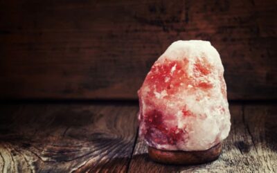 Are Himalayan Salt Lamps Dangerous For Dogs?