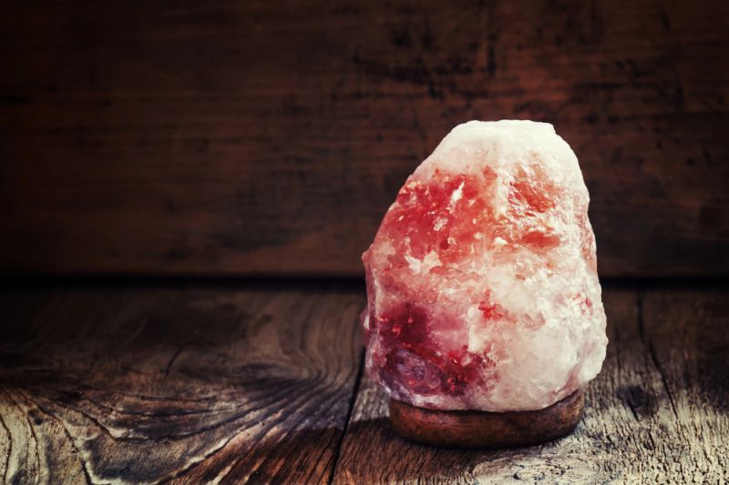 Are Himalayan Salt Lamps Dangerous For Dogs - VETIQ (1)