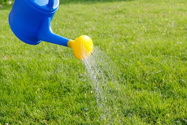 Watering Pee On The Lawn – Mark and Chappell