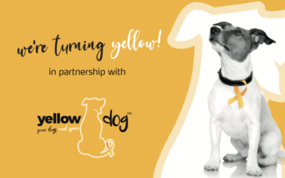 Mark + Chappell Team Up With Yellow Dog™