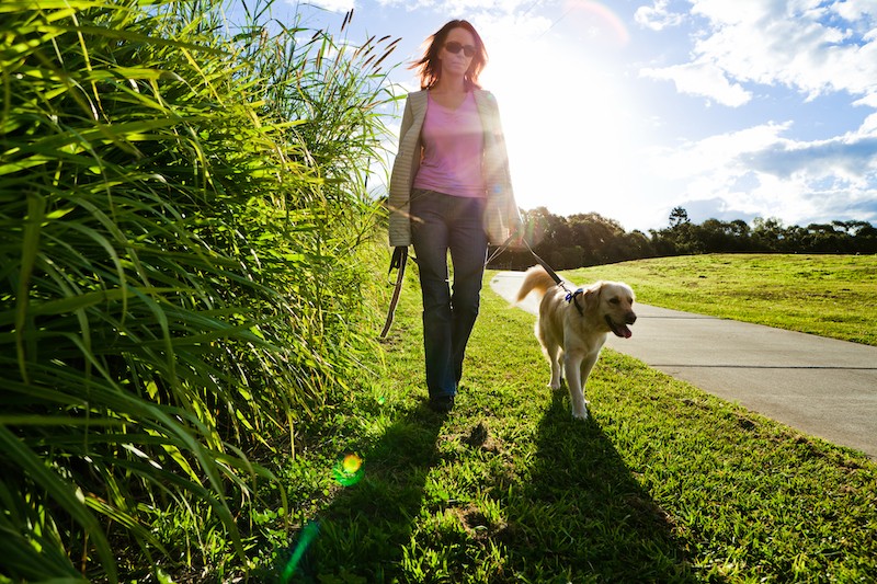 Help Your Pets Adjust To Getting Back To 'normal' - Mark + Chappell