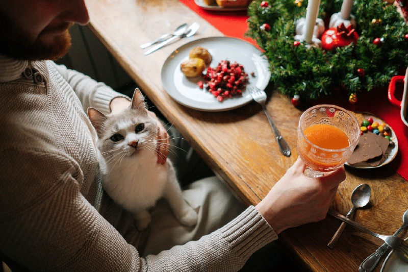 Christmas Foods That Are Dangerous For Cats And Dogs