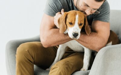 Some Dogs Don’t Like Hugs: Explaining Canine Anxiety