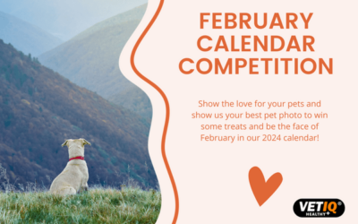 VetIQ Calendar Competition – February 2023