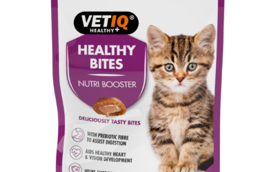 Healthy Bites Nutri Booster For Cats & Kittens
