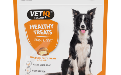Healthy Treats Skin & Coat for Dogs