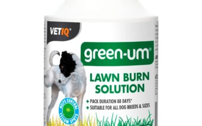 VETIQ® Green-UM Lawn Burn Solution
