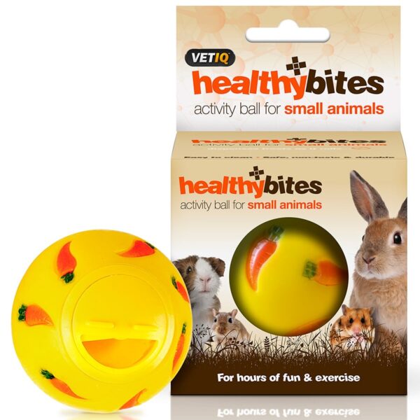 Heatlhy Bites Activity Ball