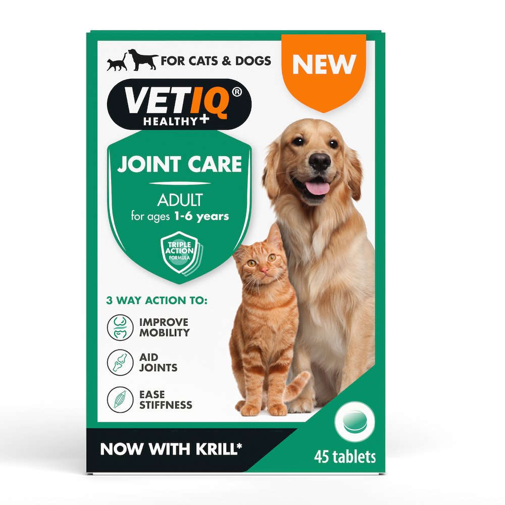 Joint Pain In Dogs - Signs, Prevention & Treatment - VETIQ (3)