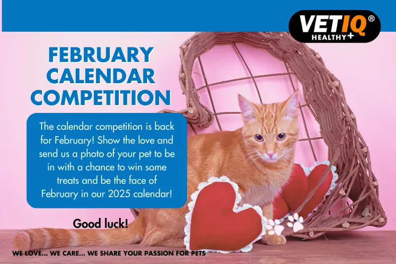 VETIQ Pet Calendar Competition - February 2024