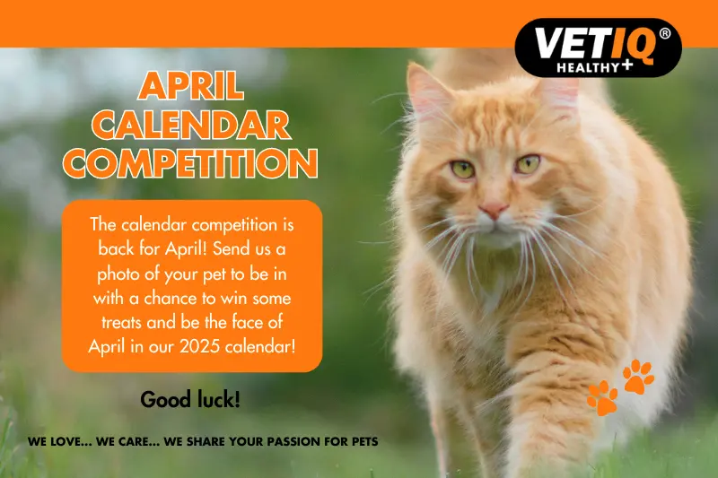 April Calendar Competition 2024