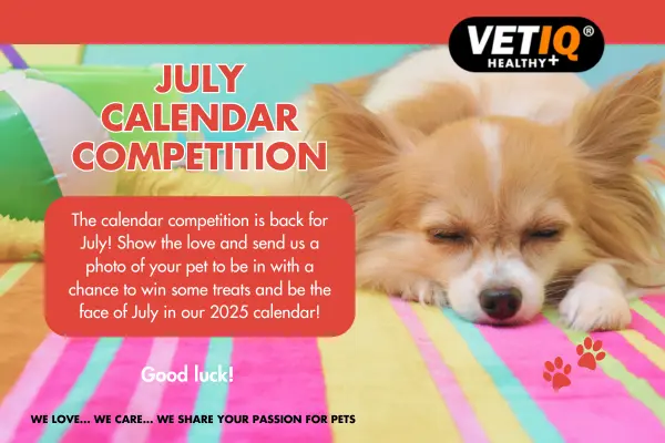 VETIQ July Calendar Competition 2024