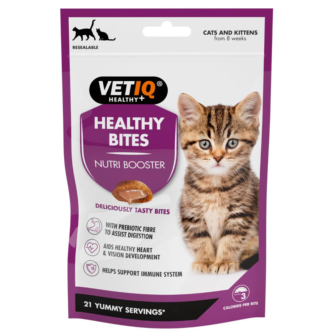 Do Pets Need Multivitamins? - VETIQ (3)