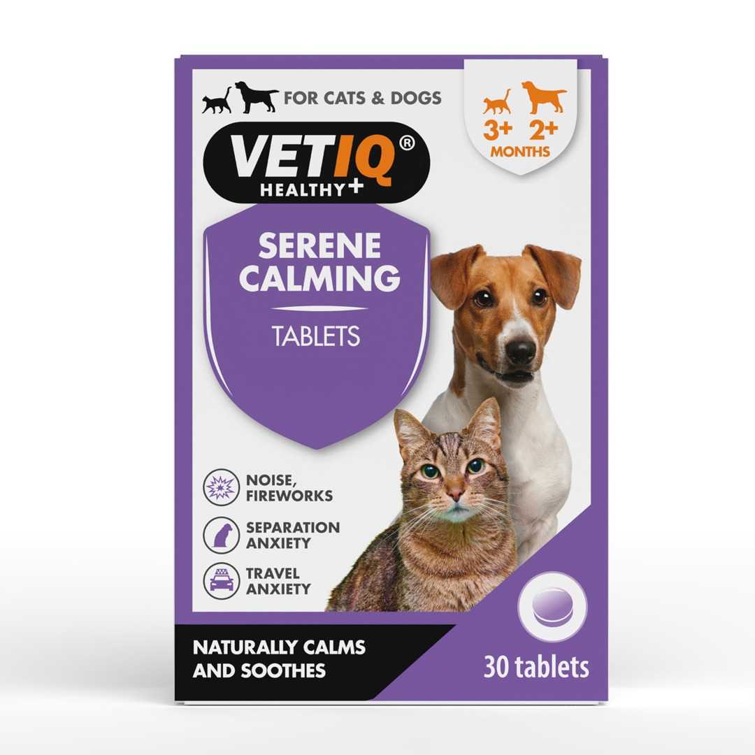 How To Manage Pet Anxiety During Halloween - VETIQ (4)