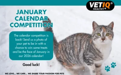 VETIQ Calendar Competition – January 2025