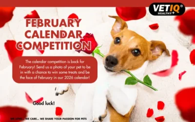 VETIQ Calendar Competition – February 2025