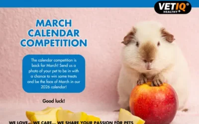 VETIQ Calendar Competition – March 2025