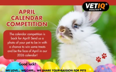 VETIQ Calendar Competition – April 2025