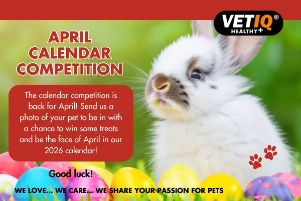 VETIQ Calendar Competition – April 2025