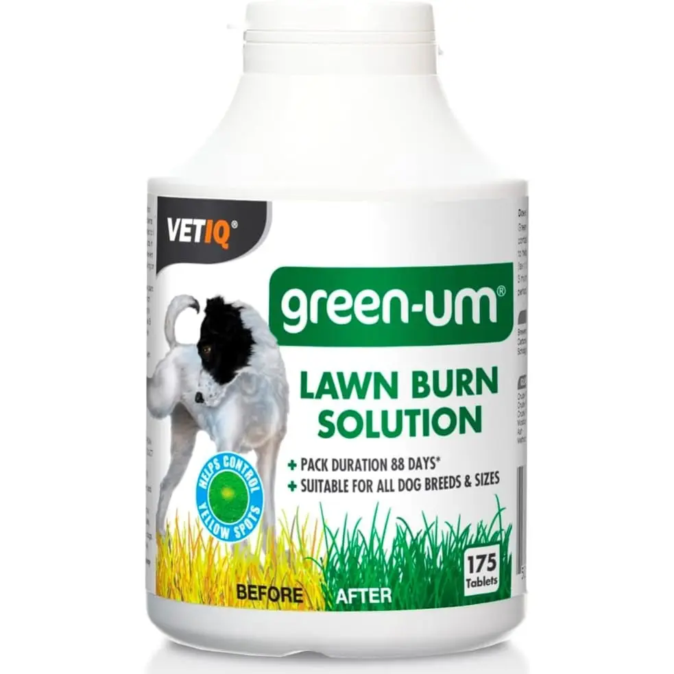 How To Prevent Dog Urine Lawn Spots - VETIQ (3)