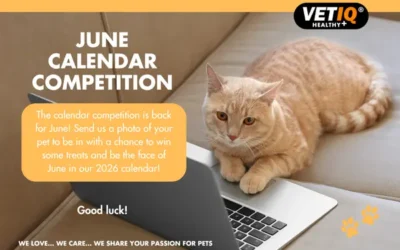 VETIQ Calendar Competition – June 2025