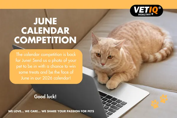 VETIQ Calendar Competition – June 2025