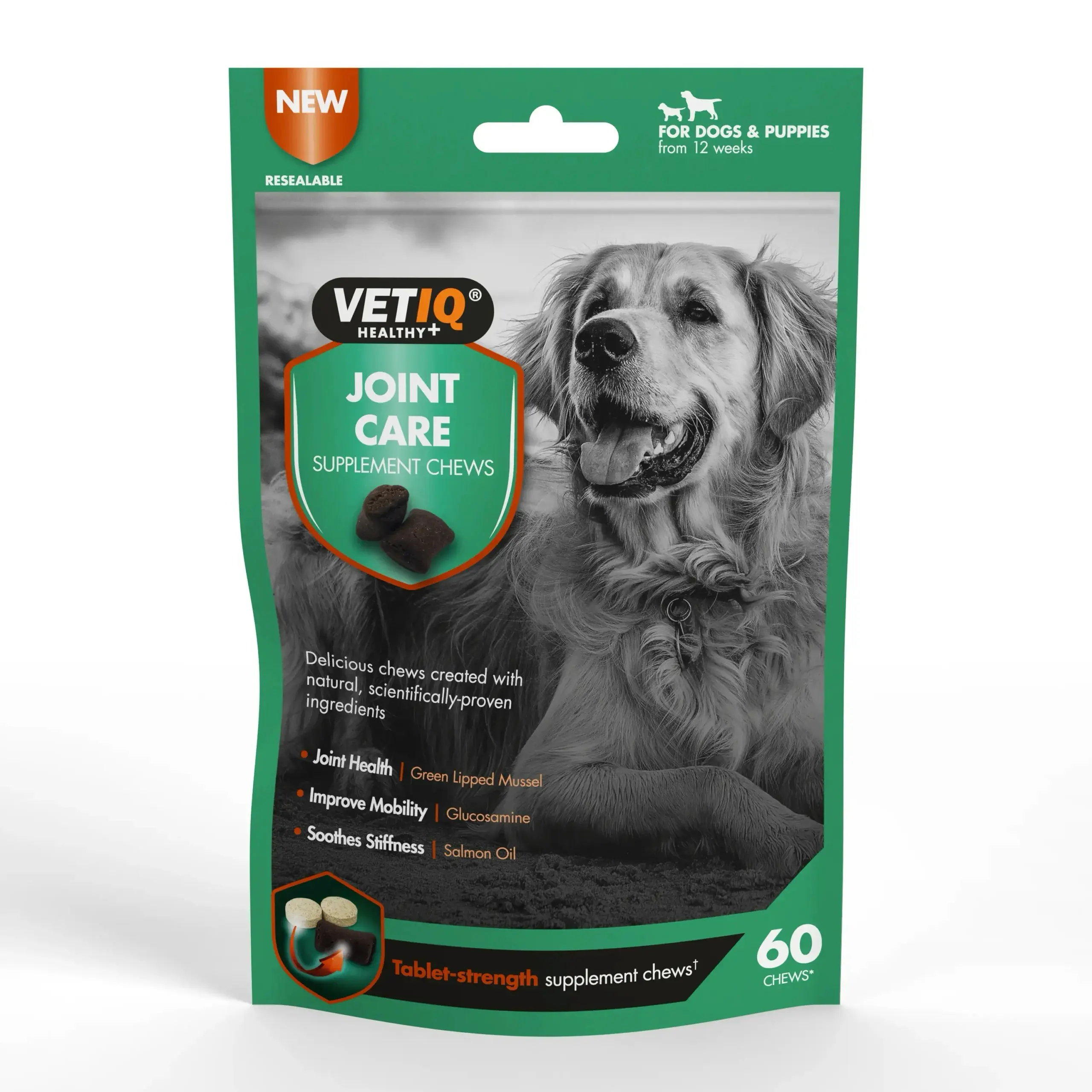 Our Guide To Joint Care For Dogs During Summer - VETIQ (3)