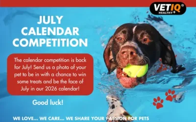 VETIQ Calendar Competition – July 2025