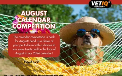 VETIQ Calendar Competition – August 2025