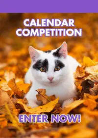 VETIQ September Competition Sidebar
