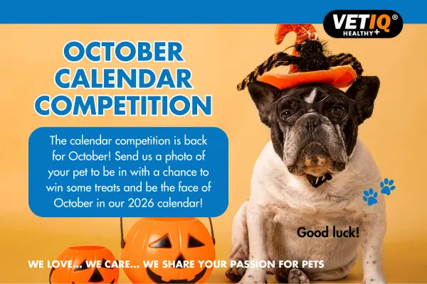 VETIQ Calendar Competition October 2025